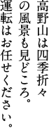 高野山は四季折々の風景も見どころ。運転はお任せください。
